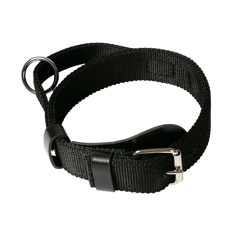 Collar with handle relined