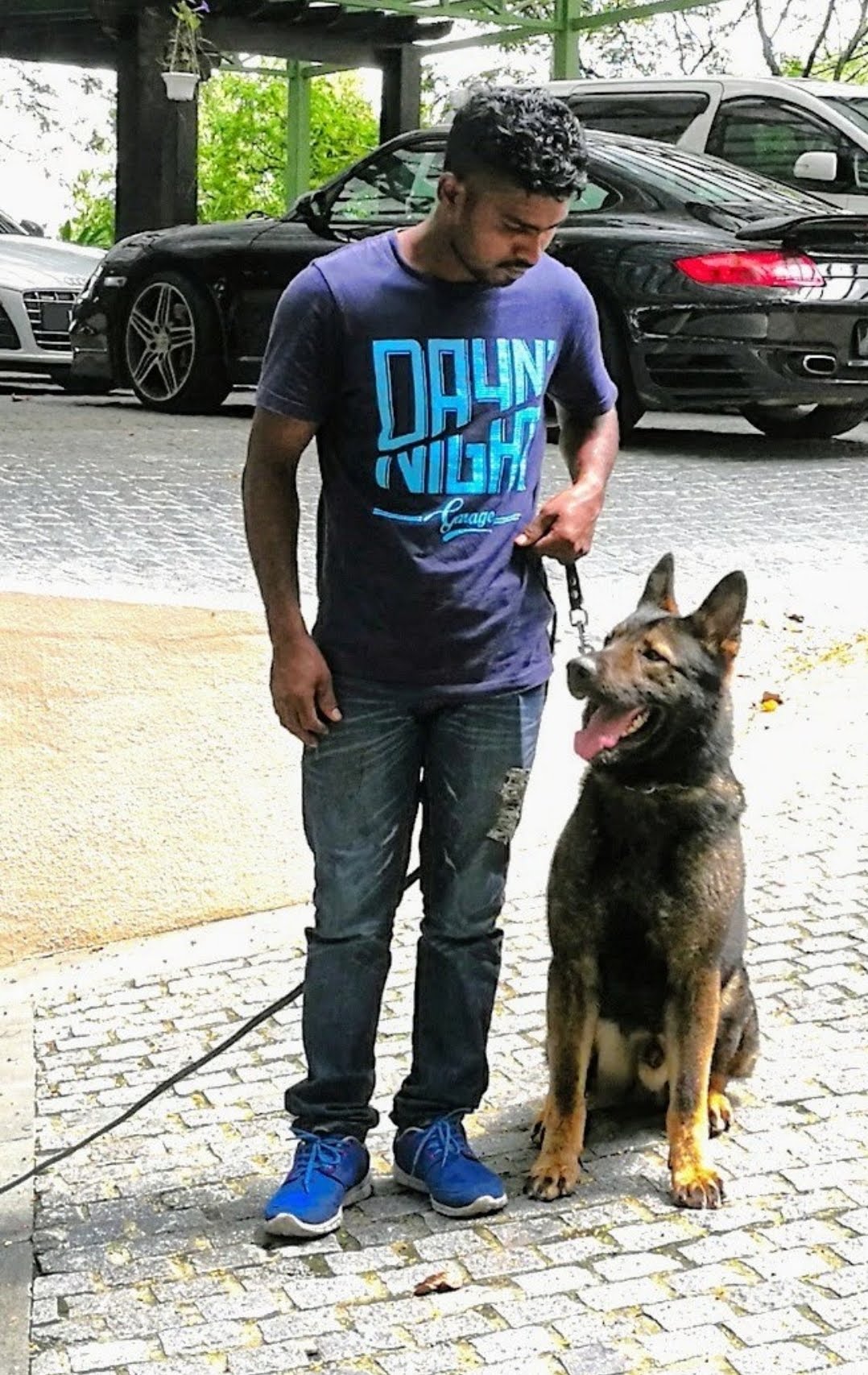 Personal protection dog